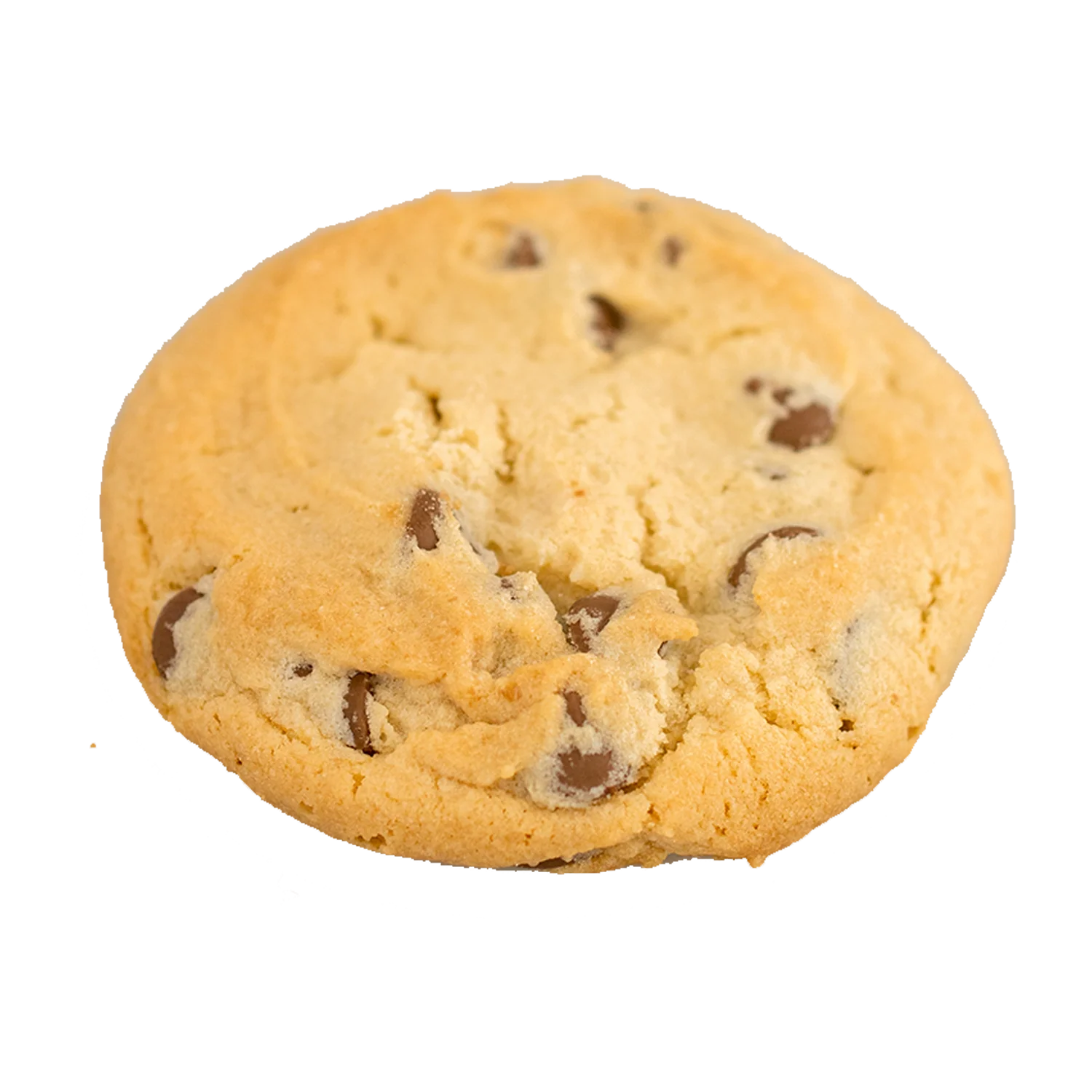 Chocolate Chip Cookie