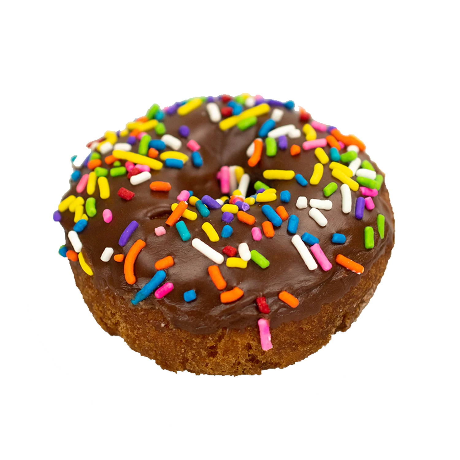Chocolate Iced Vanilla Cake Donut with Sprinkles