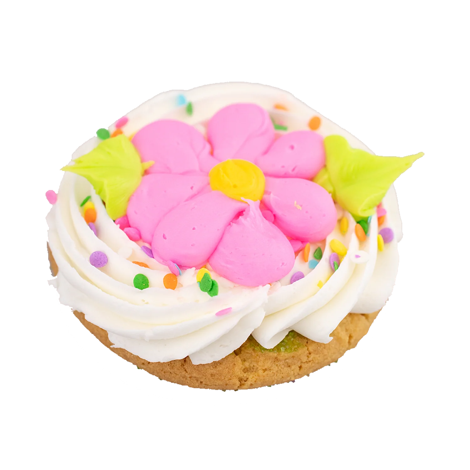 Fancy Iced Cookie