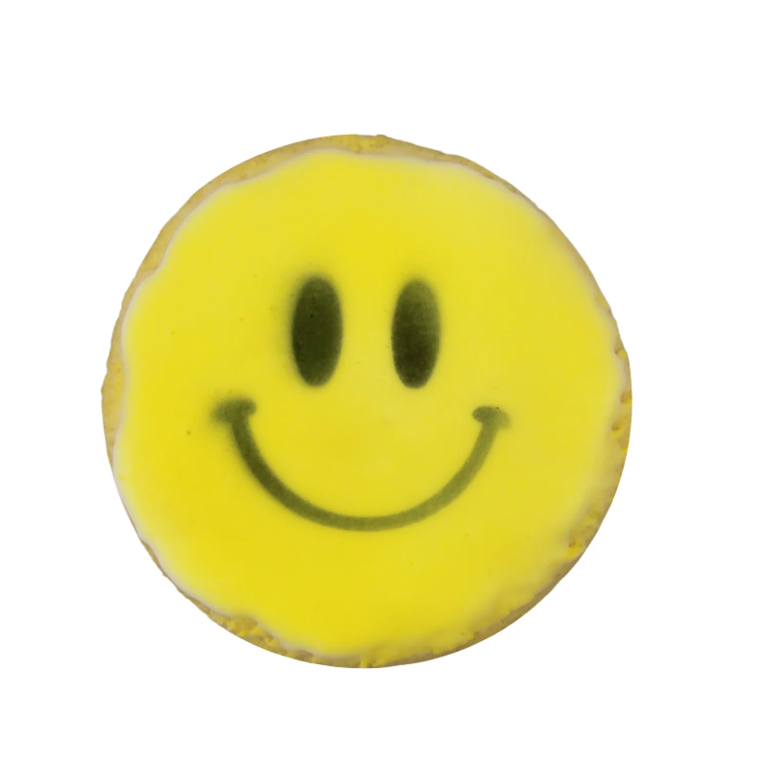 Fondant Iced Cookie